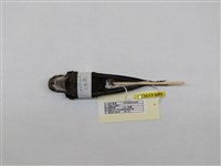 藏品(小雨燕)的圖片